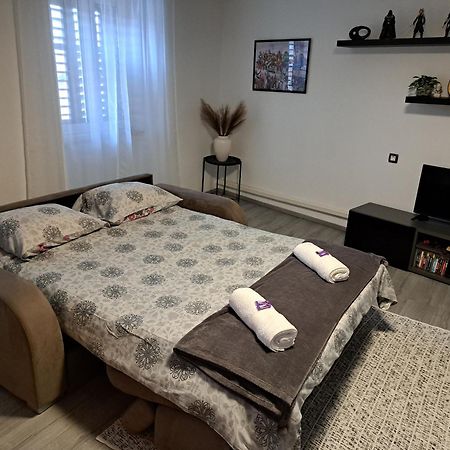 Apartman Darija Pazin Exterior foto